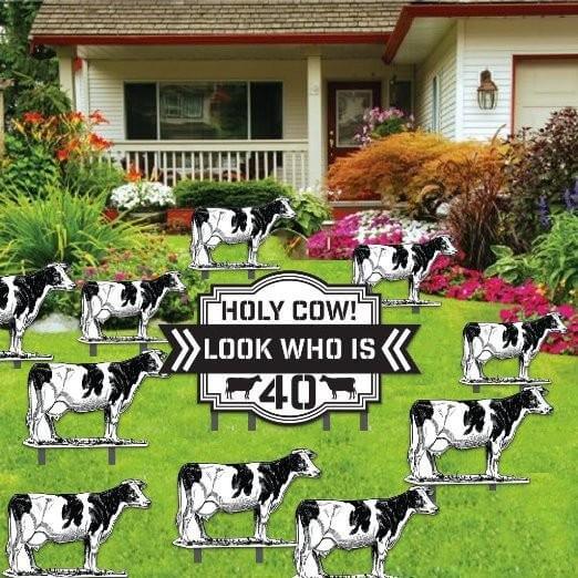 Holy Cow! See more