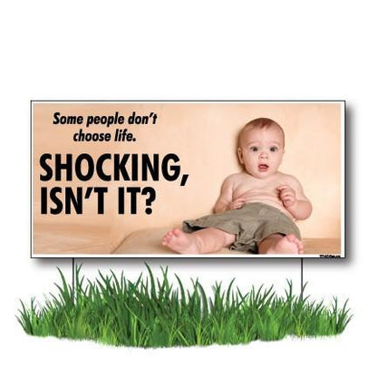 Shocking, isn't it! - ProLife 2-Pack 12"x24" Corrugated Plastic Yard Signs - FREE SHIPPING