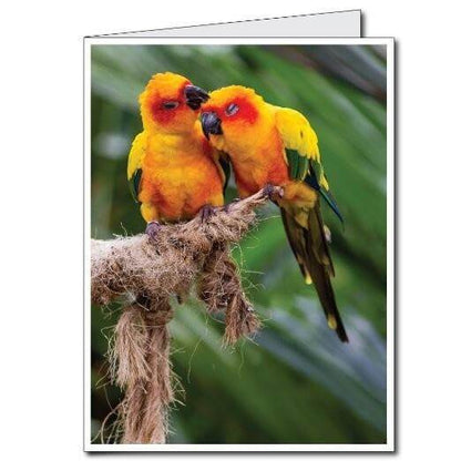 3' Stock Design Giant Birthday Card with Envelope - Ornithologist Theme