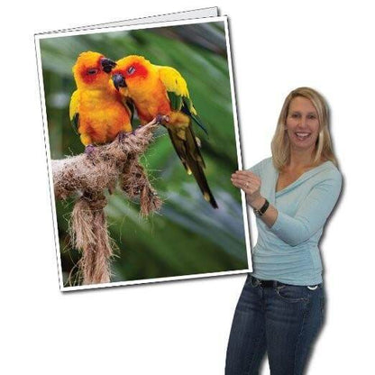 3' Stock Design Giant Birthday Card with Envelope - Ornithologist Theme