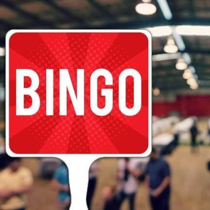 Bingo Hand Held Paddle Sign