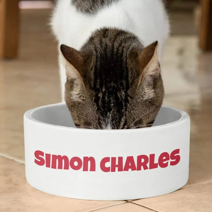 Custom Name Pet Bowl