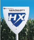 Custom Field Signs - 2' x 3' White Corrugated Plastic Field and Plot Signs