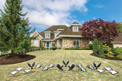 eagle mascot yard signs