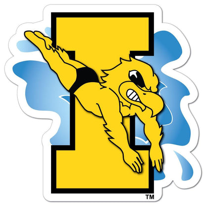 Iowa Hawkeye Herky Swimming Car Magnet - 11.5"