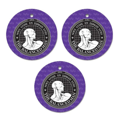 Sigma Phi Epsilon Circle Ornament Set of 3