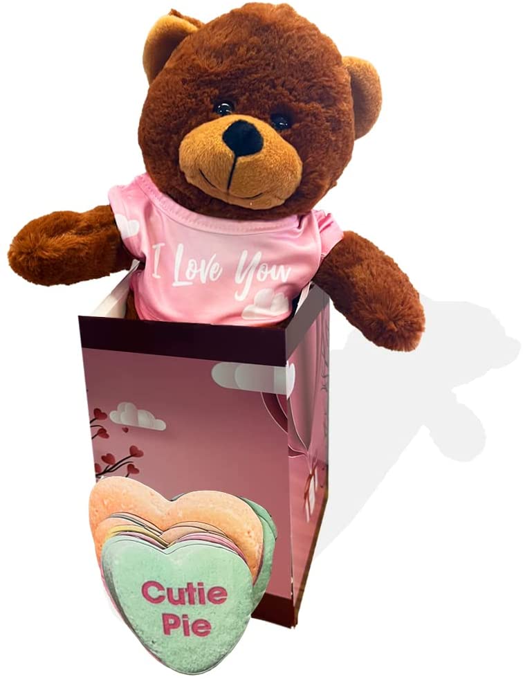 Valentine gift 2025 teddy bear