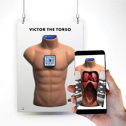 Victor The Torso STEM 4d : Human Anatomy Augmented Reality Learning Package (2D Banner)